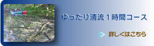 ゆったり清流１時間コース