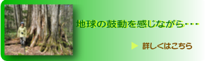 自然散策