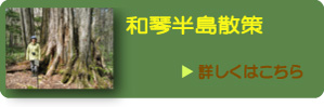 和琴半島自然散策 和琴半島自然散策