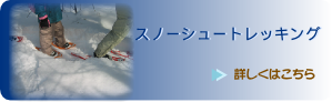 スノーシュートレッキング スノーシュートレッキング