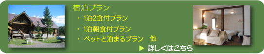 宿泊プランのご予約 宿泊プランのご予約