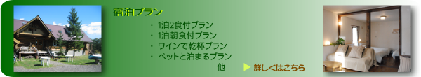 画像の説明